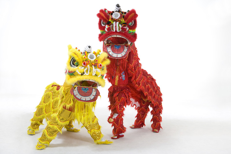 对狮看镜头图片下载