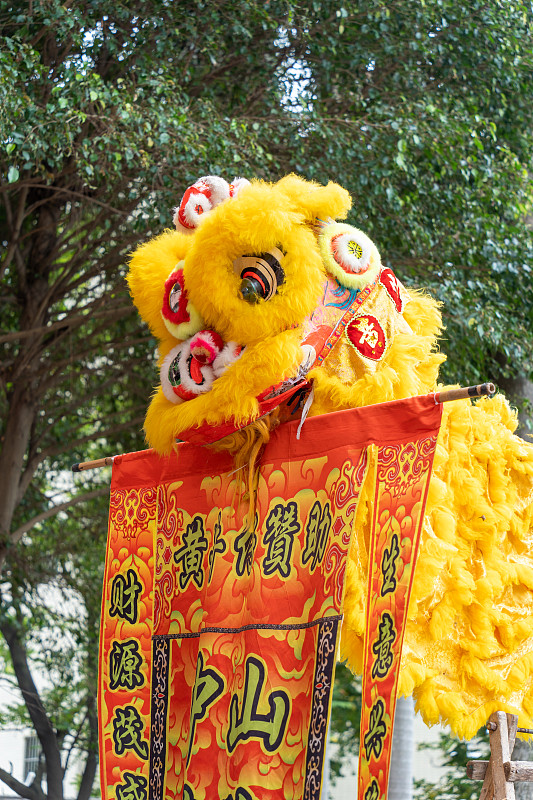 珠三角 中山龙狮 醒狮队 狮子 传统习俗 文化 喜庆图片下载