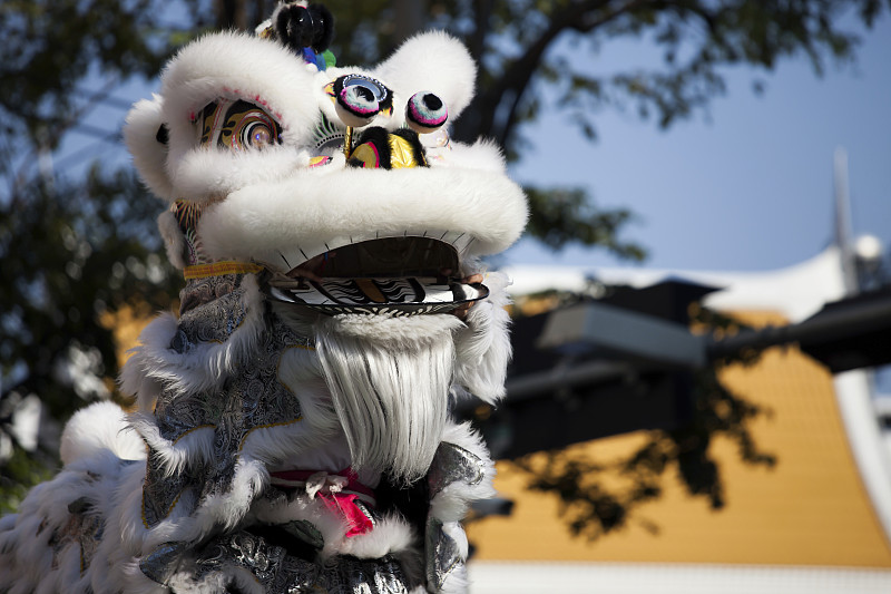 传统的舞狮在中国新年图片下载