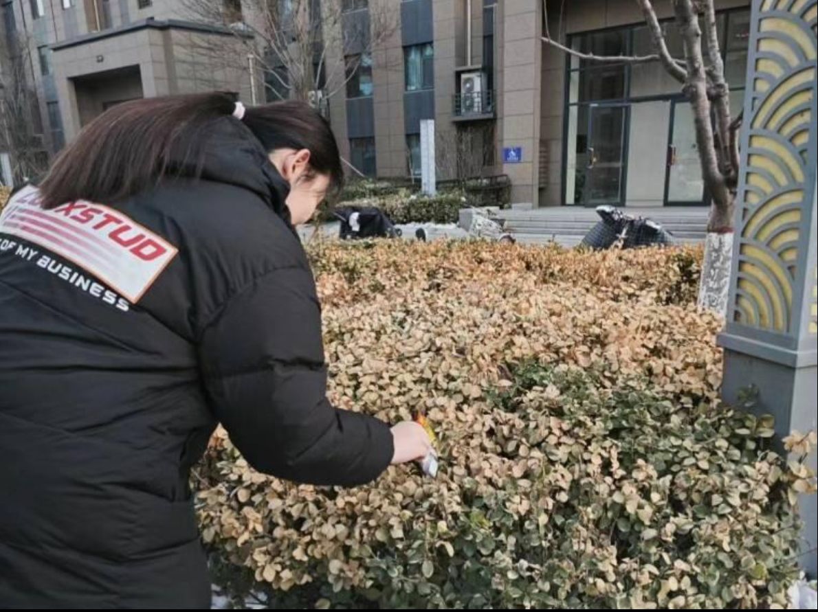 曲园学子三下乡：提高人民环保意识，改善人民生活环境