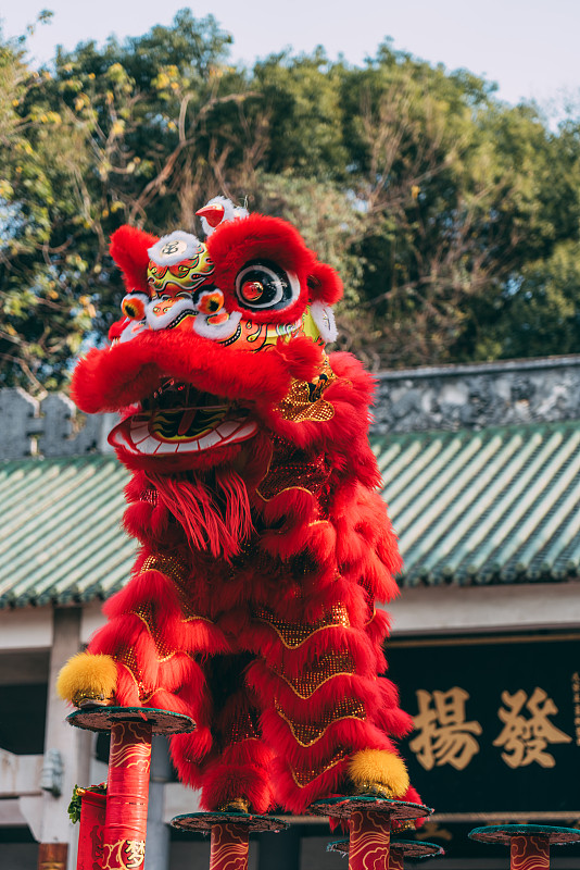 佛山南海醒狮表演图片下载