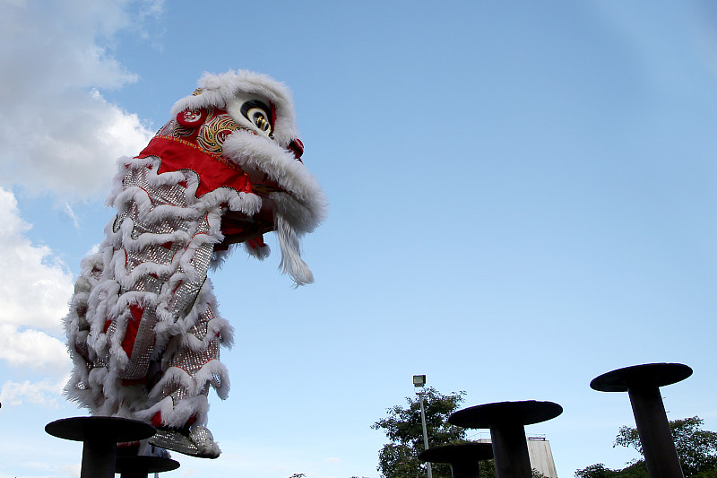 中国新年-舞狮图片下载