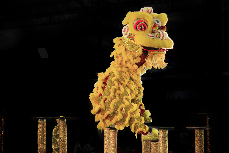 中国传统舞狮表演图片下载